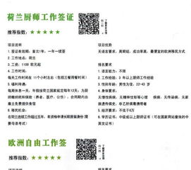 石家莊易知出國(guó)教育信息咨詢公司